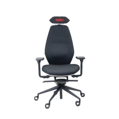 Siège ergonomique gamer ESPÉROU "PUNKILL"