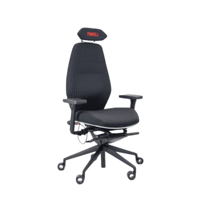 Siège ergonomique gamer ESPÉROU "PUNKILL"