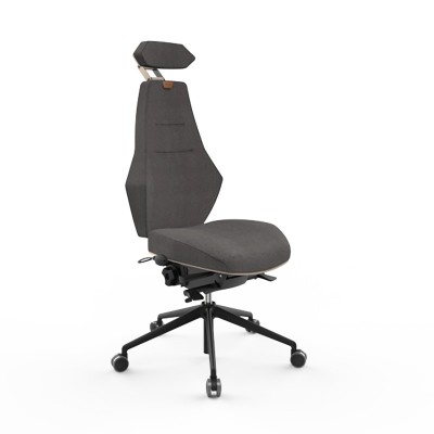 Silla de oficina ergonómica VENTOUX