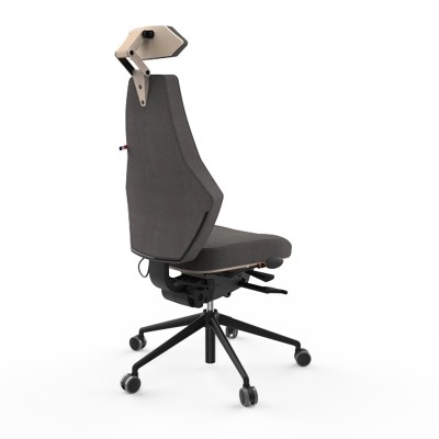 Silla de oficina ergonómica VENTOUX